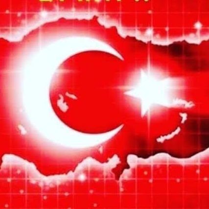 ahmetpn55358127's profile picture. 