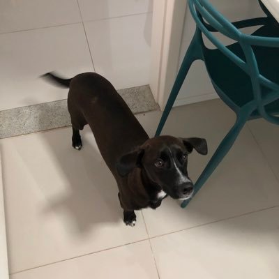 m_dalbianco's profile picture. Professor e Pesquisador na @ufvbr. Apenas opiniões pessoais sobre assuntos aleatórios.