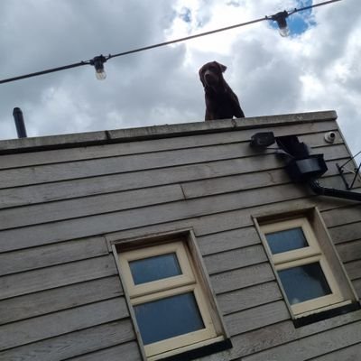 New567_32's profile picture. 