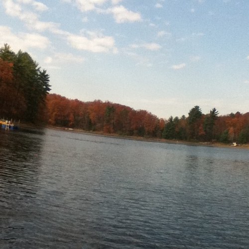 manzie27's profile picture. 