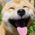 feng ren (rsf) (@rsffeng) Twitter profile photo feng ren (rsf) (@rsffeng) Twitter profile photo