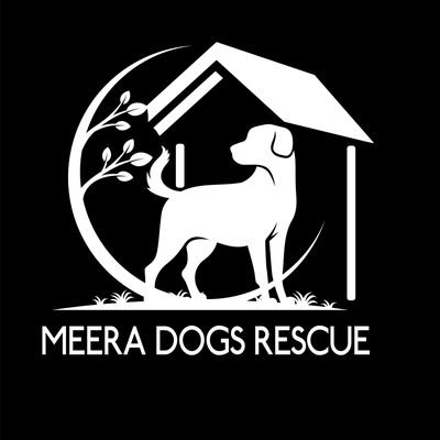 Our mission is to reduce on the number of dogs dying on streets.🐕❤🐶🐶
Donations go to food, rent and vet bills.
PayPal us for support 🚨🚨🚨