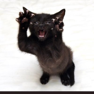 h4rD6PgbjEcAcS5's profile picture. 