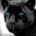 Nick Dyer (@nickdmba) Twitter profile photo Nick Dyer (@nickdmba) Twitter profile photo
