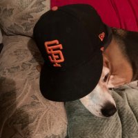Taylor Bell (@taylorbell22289) 's Twitter Profile