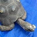 Joe - @JoeRex282006 - Twitter