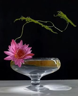 baohehongcha1's profile picture. 