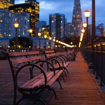 Hamidha84558348's profile picture. 