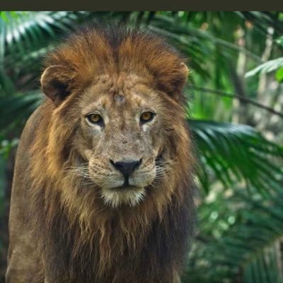 Africa5Afrique's profile picture. 