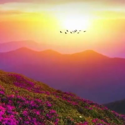 See7437's profile picture. 