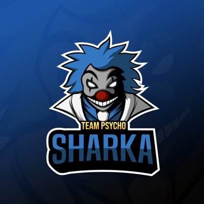 🇫🇷Clash Royale Player 🏆Pb 7k7 🏅Top 549 Ladder 🎖Top 933 - 487 GT