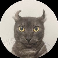 Meevin (on a break) (@meevin10) 's Twitter Profile Photo Meevin (on a break) (@meevin10) 's Twitter Profile Photo