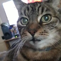 Kerstin Fabisch (@kerstinfabisch) 's Twitter Profile