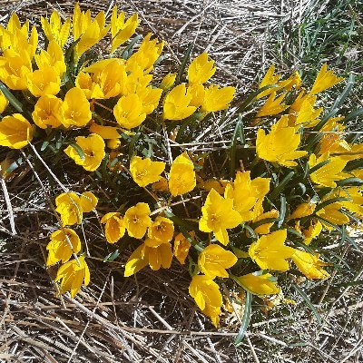 vikilamia's profile picture. 