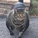 Mark Balderas - @gigachad70mark - Twitter