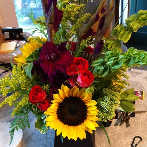 toomuchtv2's profile picture. 