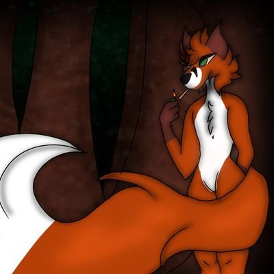 victorcurious1's profile picture. Yeh I a furry that's it really

23