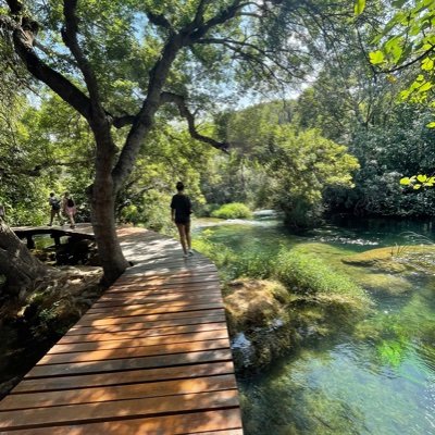 ane_anne004's profile picture. 