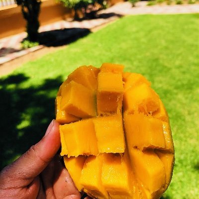 _Bonolo_N's profile picture. •MELANATED CARBON BEING
•MANGO IS THE BEYONCÉ OF FRUITS