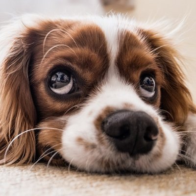 dax101010's profile picture. 