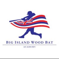BIWBA (Big Island Woodbat Academy)(@BIWBA16) 's Twitter Profileg