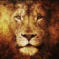 𝕄𝕚𝕜𝕖𝕪-φ-𝔸𝕝𝕝🐢𝕦𝕟𝕚𝕥𝕖𝕕 🇫🇷🇵🇸🇱🇧 (@miketjrsdebout) 's Twitter Profile Photo 𝕄𝕚𝕜𝕖𝕪-φ-𝔸𝕝𝕝🐢𝕦𝕟𝕚𝕥𝕖𝕕 🇫🇷🇵🇸🇱🇧 (@miketjrsdebout) 's Twitter Profile Photo