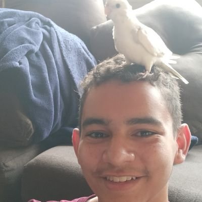 rodolfo69talvez's profile picture. Se pá que eu gosto de animalzim ///viciado em pássaros,cachorros,gatos e tudo q há de bom