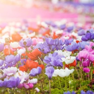アラフォー💕懸賞垢🙏グチ垢🍀㋿からモラ不仲旦那のグチ多め🌷R6.4マイホーム引越し🏡定年まで旦那単身✌️自立して子育て終わったら旦那は🍐2013👦(R5~不登校)
2014👦年子男児ママ