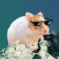 Boris CryptoHamster (@boriskomarov85) 's Twitter Profile Photo