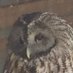 Twittafaqqa (@twittafaqqa) Twitter profile photo Twittafaqqa (@twittafaqqa) Twitter profile photo