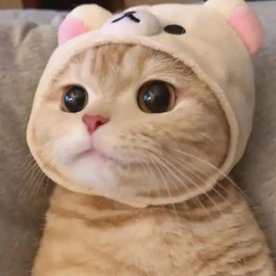 원리さんのプロフィール画像