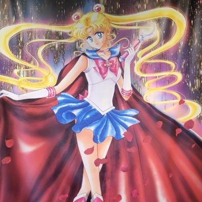 夜桜🌸セーラームーン垢さんのプロフィール画像