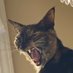 grrt (@grrtgrrtgrrt) Twitter profile photo grrt (@grrtgrrtgrrt) Twitter profile photo