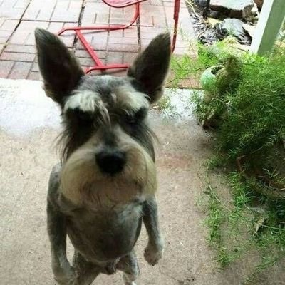 raissazn__'s profile picture. ig raissazn_