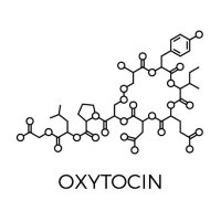 オキシトシン発生源の生態報告 (@mega_oxytocin) Twitter profile photo
