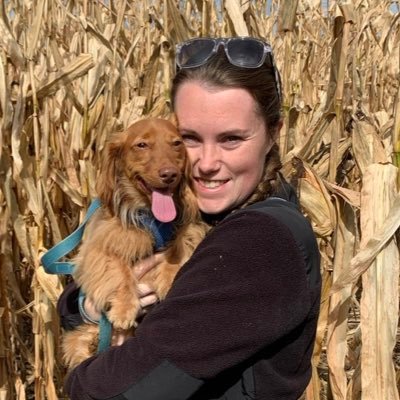 MrsValloneK's profile picture. Kindergarten Teacher at Marlboro Elementary School