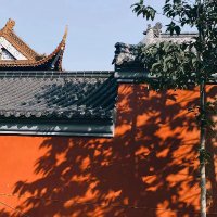 xiongqi(互fo100%) (@zsxiongqi) 's Twitter Profile