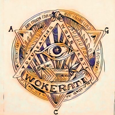 So_Revolution's profile picture. Sharing what The Wokerati are actually all about FYI it's not 🥑🙄 when we hitting streets French style 🤞? #StrongerTogether #Forgotten500k #FBNHS #GTTO