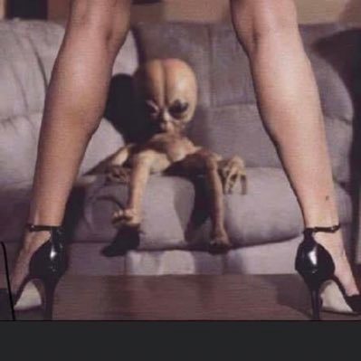 Sh4ggy801's profile picture. 