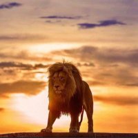 Benavente Gabriel (@gabrielbena) 's Twitter Profile