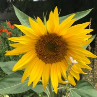 DieKaappunters (@diekaappunters) 's Twitter Profile