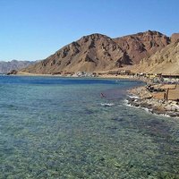 احمد عيد (@mdyd67251300) 's Twitter Profile