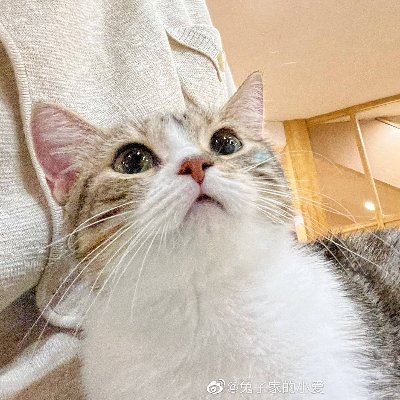 아그네스さんのプロフィール画像