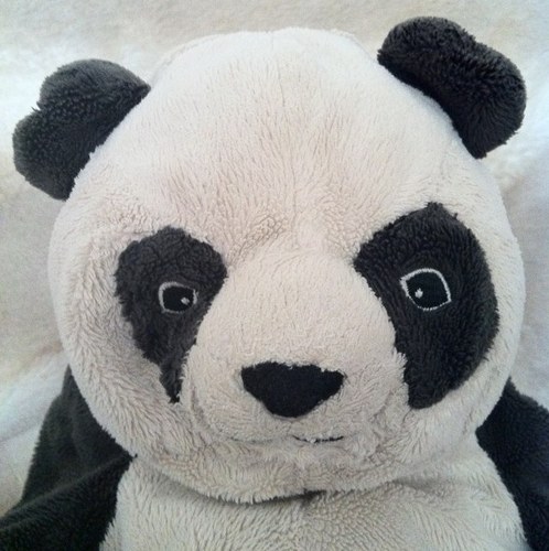 umnik_r's profile picture. 