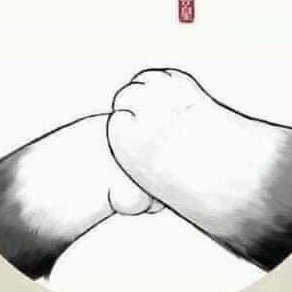 newgirl312's profile picture. 