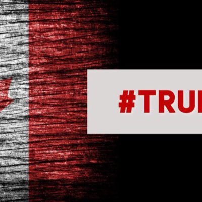 fitn501's profile picture. 