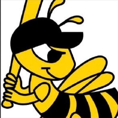 Official page of Bonneville Bees Baseball