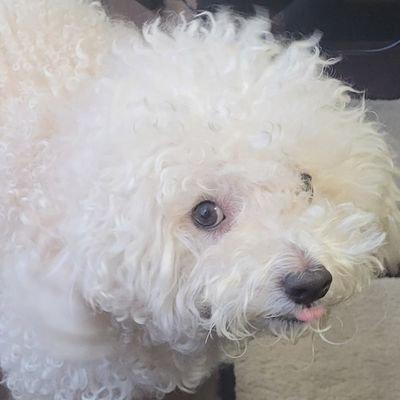 TobiA321's profile picture. 24. He/Him ✝️🇨🇦🇳🇬
Still alive somehow
Free Palestine🇵🇸