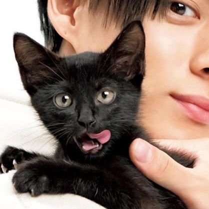 🍀ノラクロ🍀24🍀さんのプロフィール画像