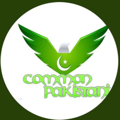 I am a common pakistani. My tweets are my way of expressing my thinking on whats happening around me. so only origional me